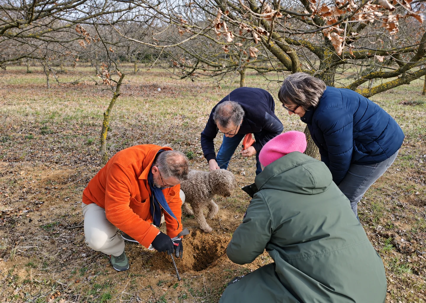 Lala und vier Teilnehmer versammeln sich um die geöffnete Erde in der Trüffelplantage.