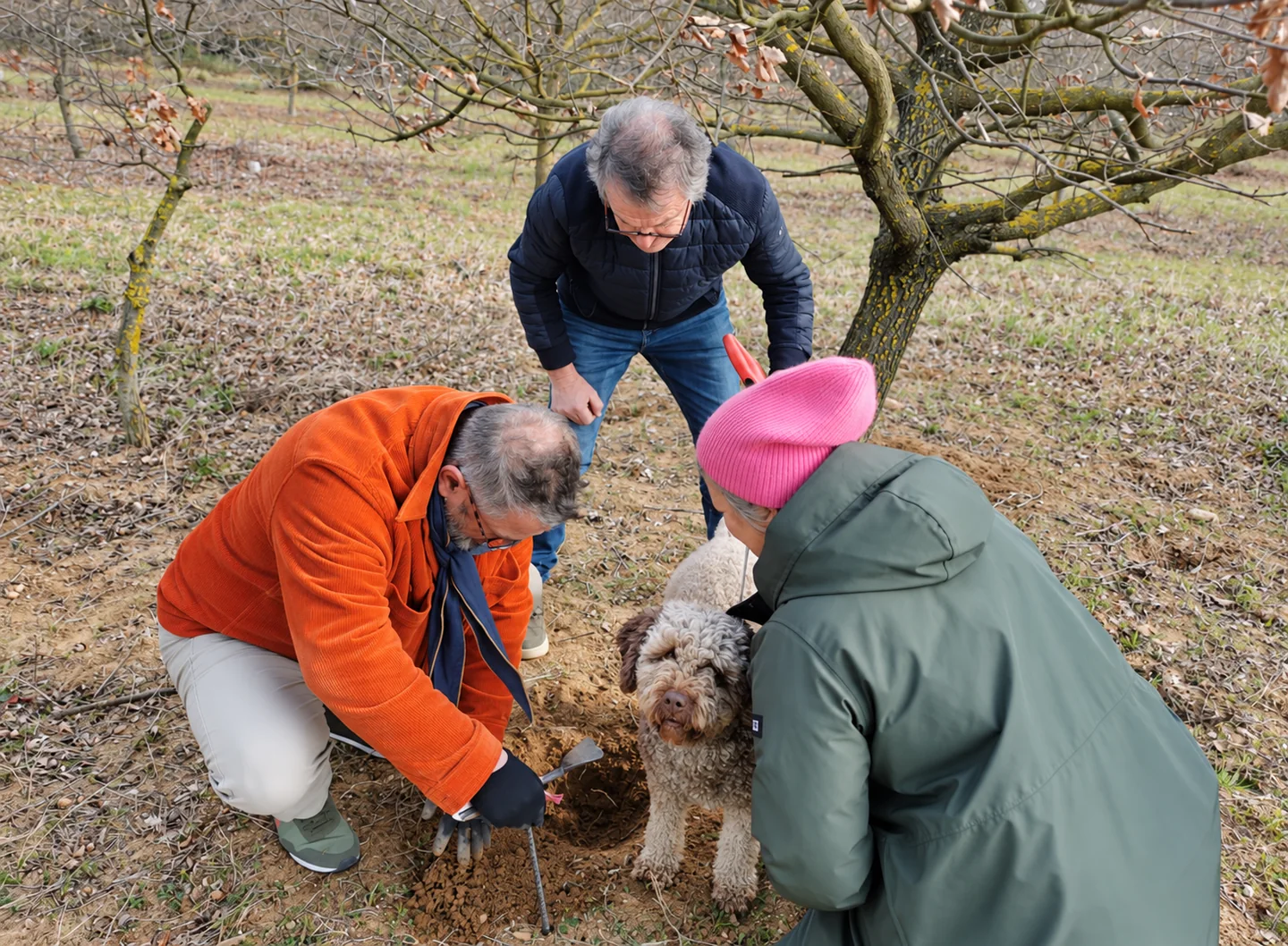 Lala und drei Teilnehmer beugen sich über die geöffnete Erde in der Trüffelplantage.