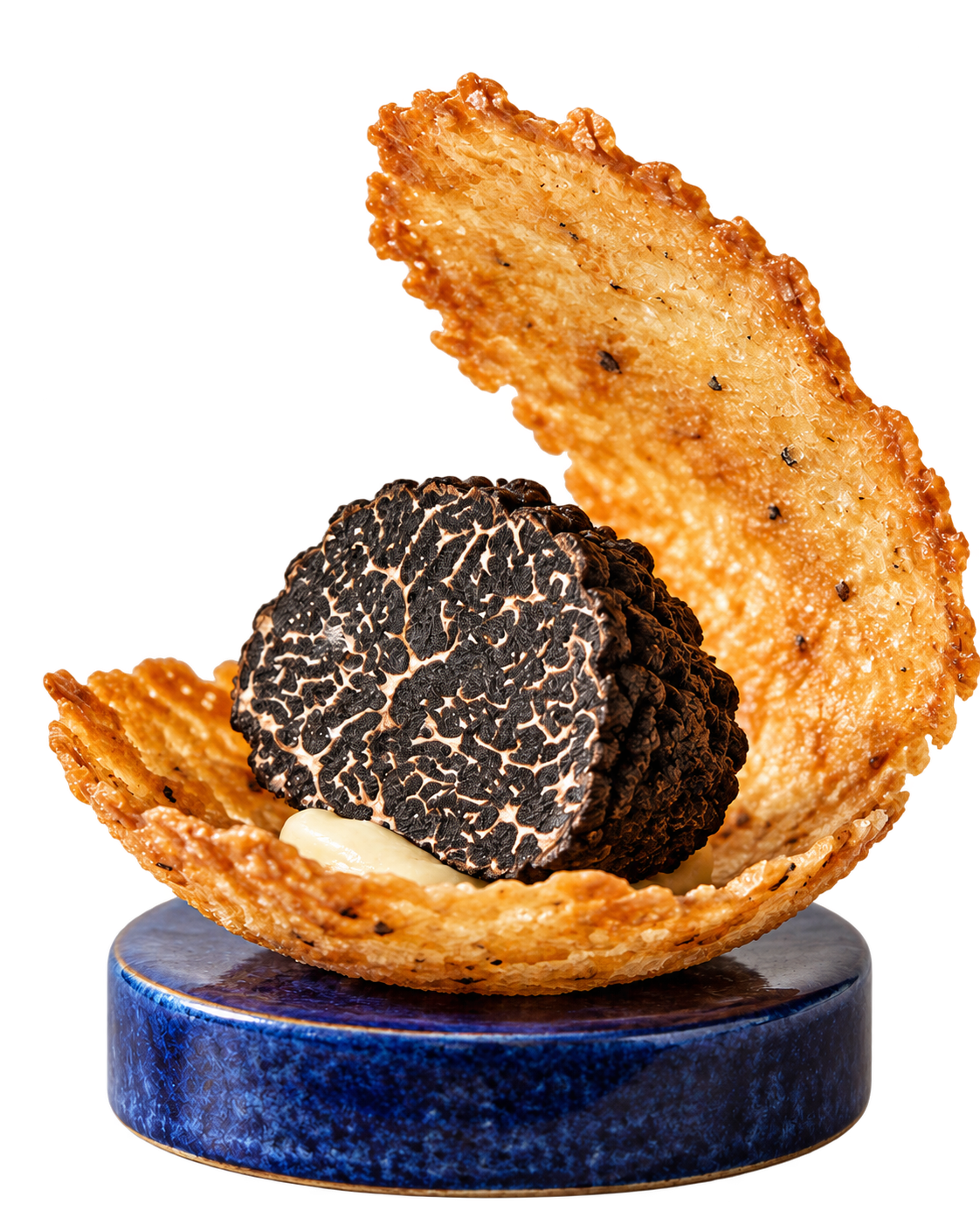Une truffe noire ouverte dans une tuile dorée, sur un socle bleu